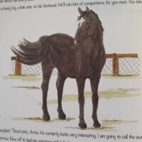 Twinkle and Star Book - Image 2